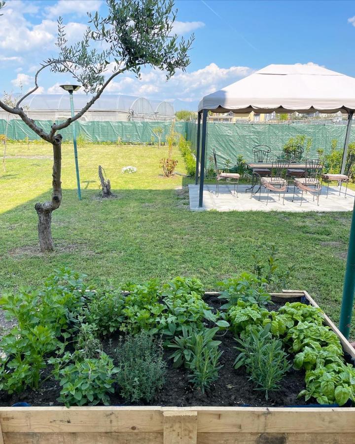 Casa Vacanze Paradise Santa Maria La Carita Bagian luar foto