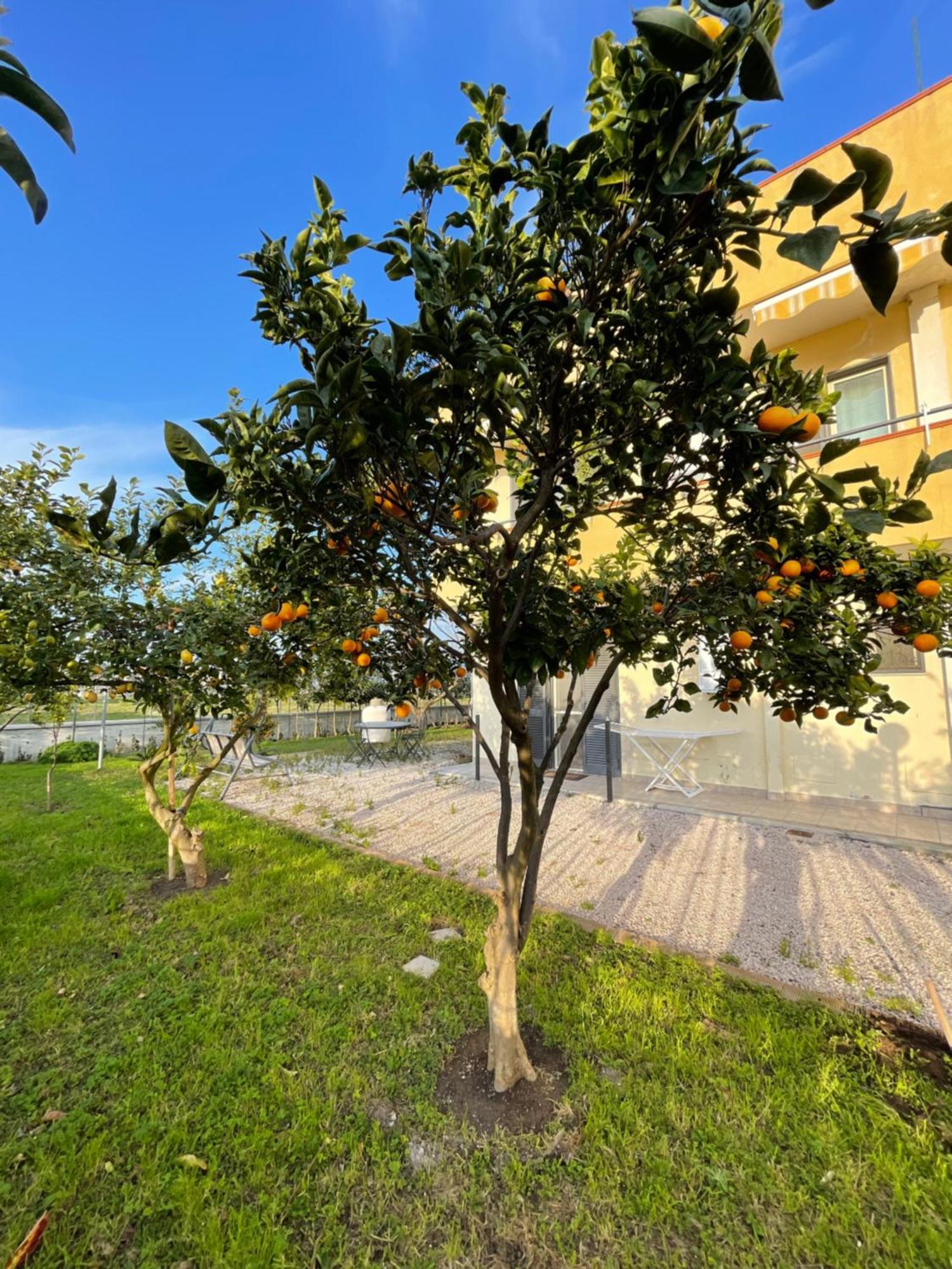 Casa Vacanze Paradise Santa Maria La Carita Bagian luar foto