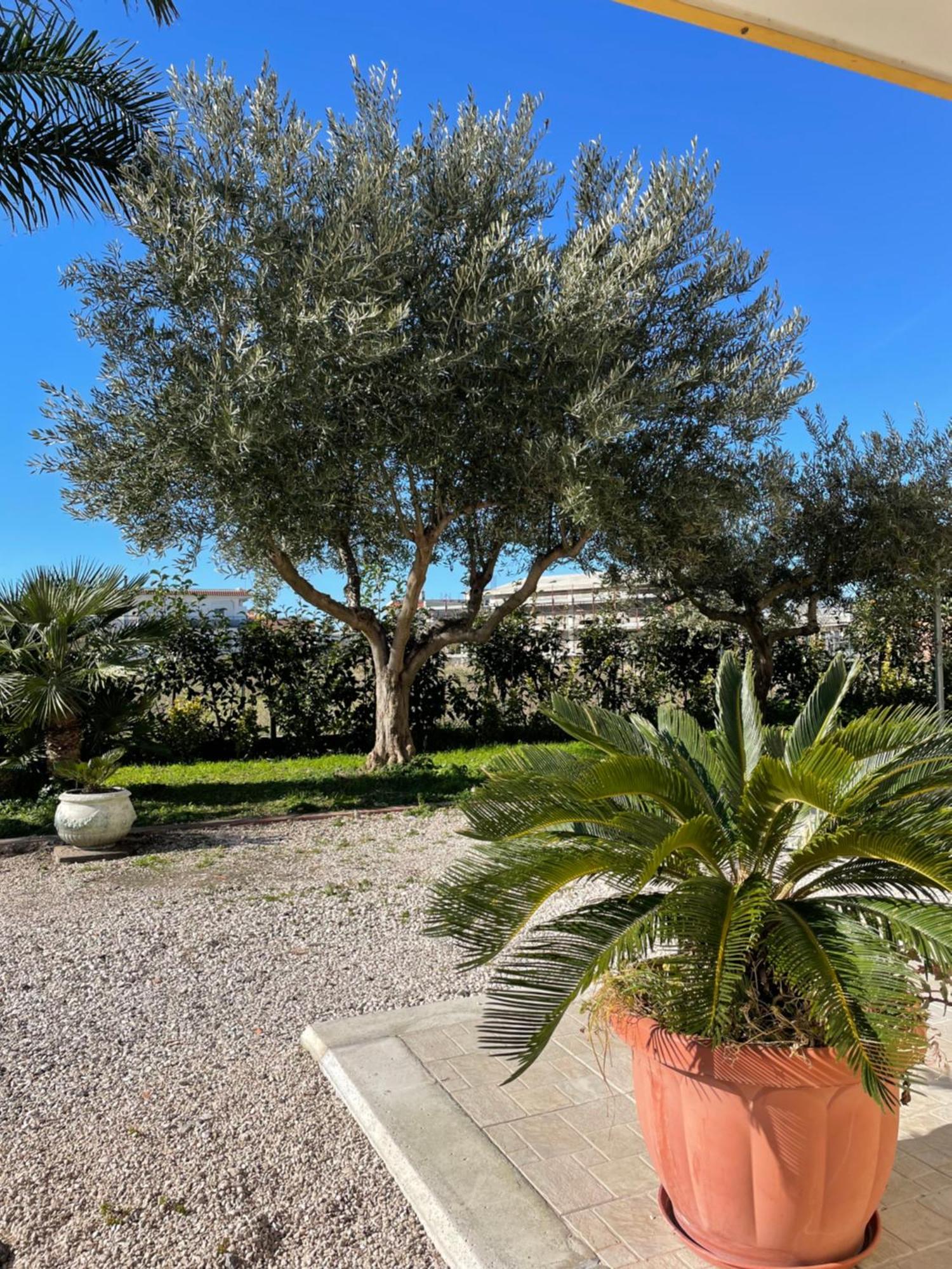 Casa Vacanze Paradise Santa Maria La Carita Bagian luar foto